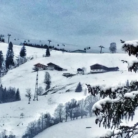 Moni Xxl 66m2 Daire *