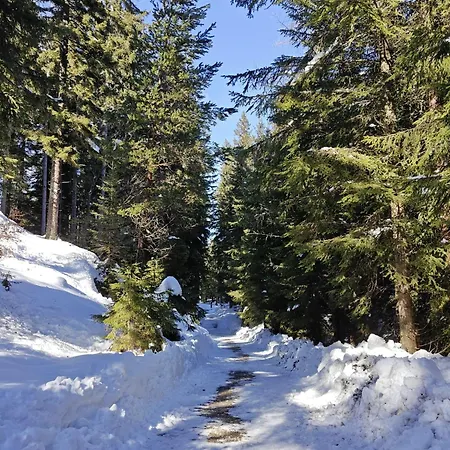 Moni Xxl 66m2 Appartamento Kaprun