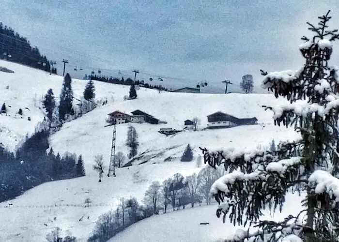 Moni Xxl 66m2 アパート *